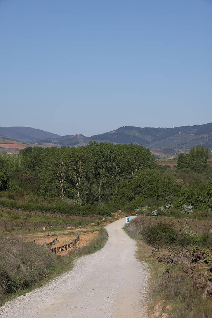 Camino rural con montañas al fondo