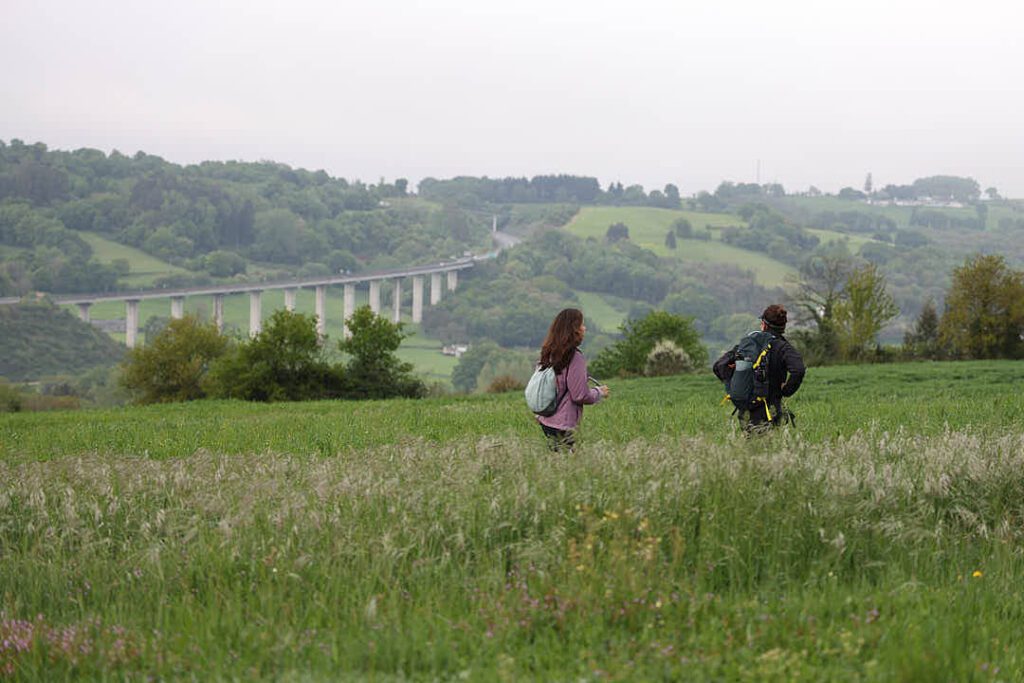 Peregrinos caminando por los campos verdes del Camino Francés