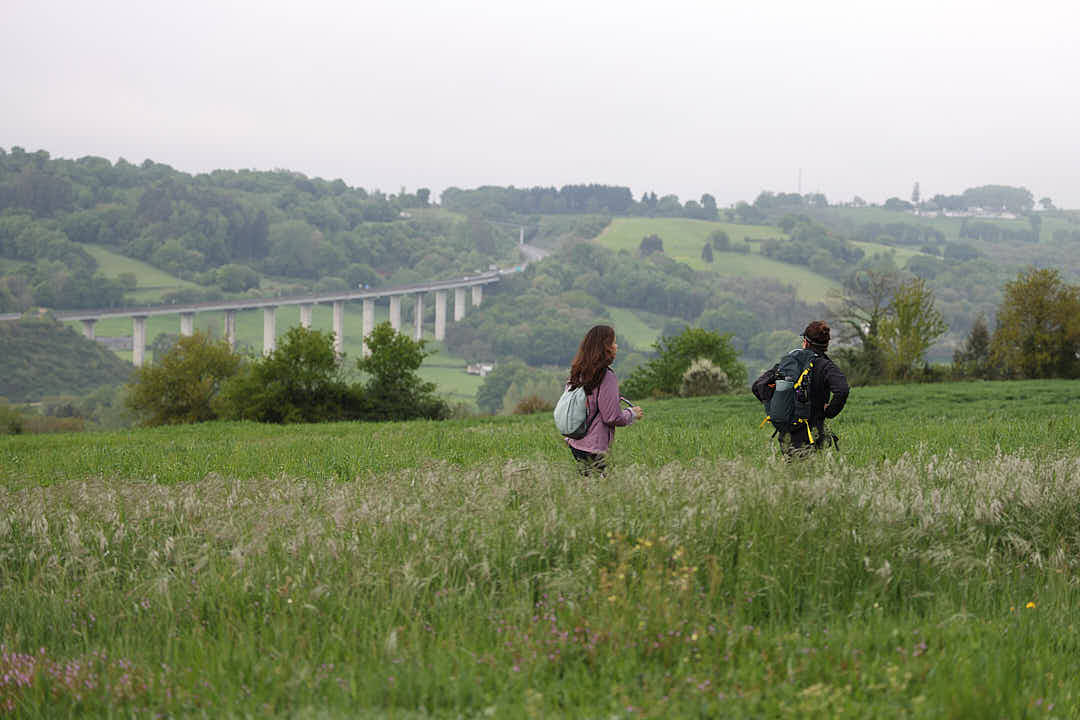 Camino de Santiago, Camino de Santiago francés, camino de santiago con naty, el camino con naty, el camino de santiago, el camino de santiago francés, El camino de santiago guiado, el camino de santiago en grupo, el camino de santiago solo, el camino de santiago agencias, agencias del camino de santiago