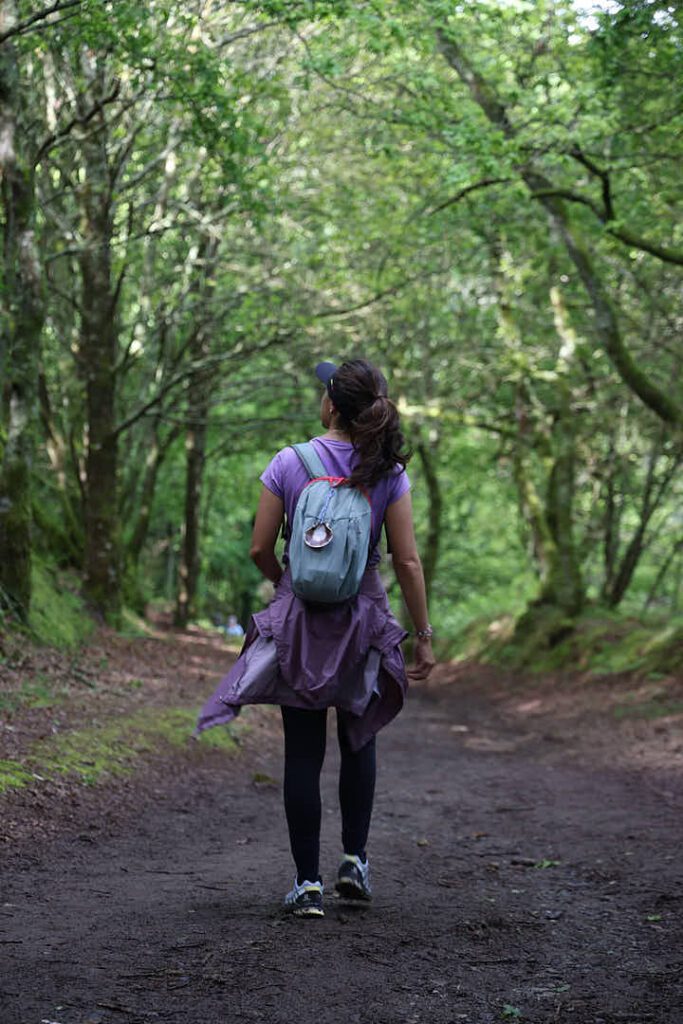 Camino de Santiago, Camino de Santiago francés, camino de santiago con naty, el camino con naty, el camino de santiago, el camino de santiago francés, El camino de santiago guiado, el camino de santiago en grupo, el camino de santiago solo, el camino de santiago agencias, agencias del camino de santiago