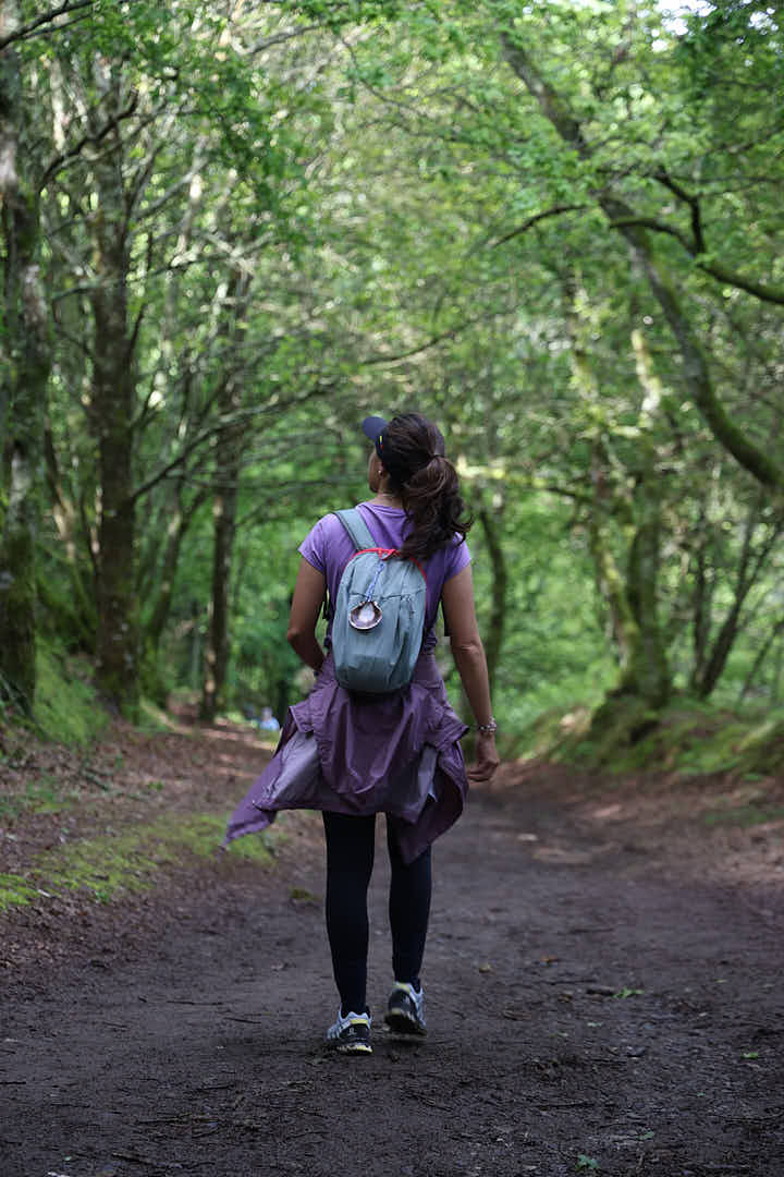 Camino de Santiago, Camino de Santiago francés, camino de santiago con naty, el camino con naty, el camino de santiago, el camino de santiago francés, El camino de santiago guiado, el camino de santiago en grupo, el camino de santiago solo, el camino de santiago agencias, agencias del camino de santiago