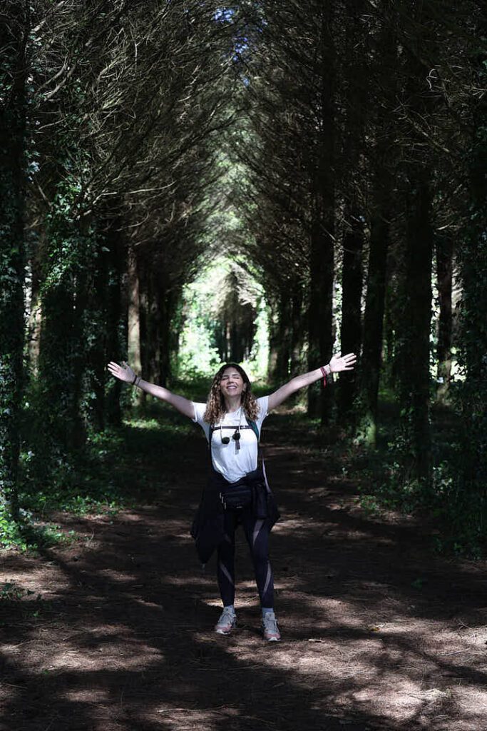 Camino de Santiago, Camino de Santiago francés, camino de santiago con naty, el camino con naty, el camino de santiago, el camino de santiago francés, El camino de santiago guiado, el camino de santiago en grupo, el camino de santiago solo, el camino de santiago agencias, agencias del camino de santiago