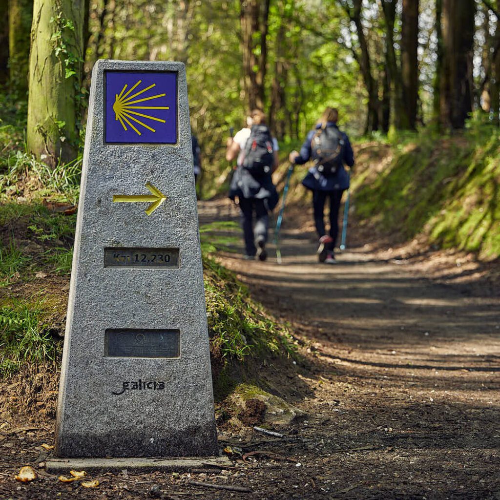 Camino de Santiago, Camino de Santiago francés, camino de santiago con naty, el camino con naty, el camino de santiago, el camino de santiago francés, El camino de santiago guiado, el camino de santiago en grupo, el camino de santiago solo, el camino de santiago agencias, agencias del camino de santiago