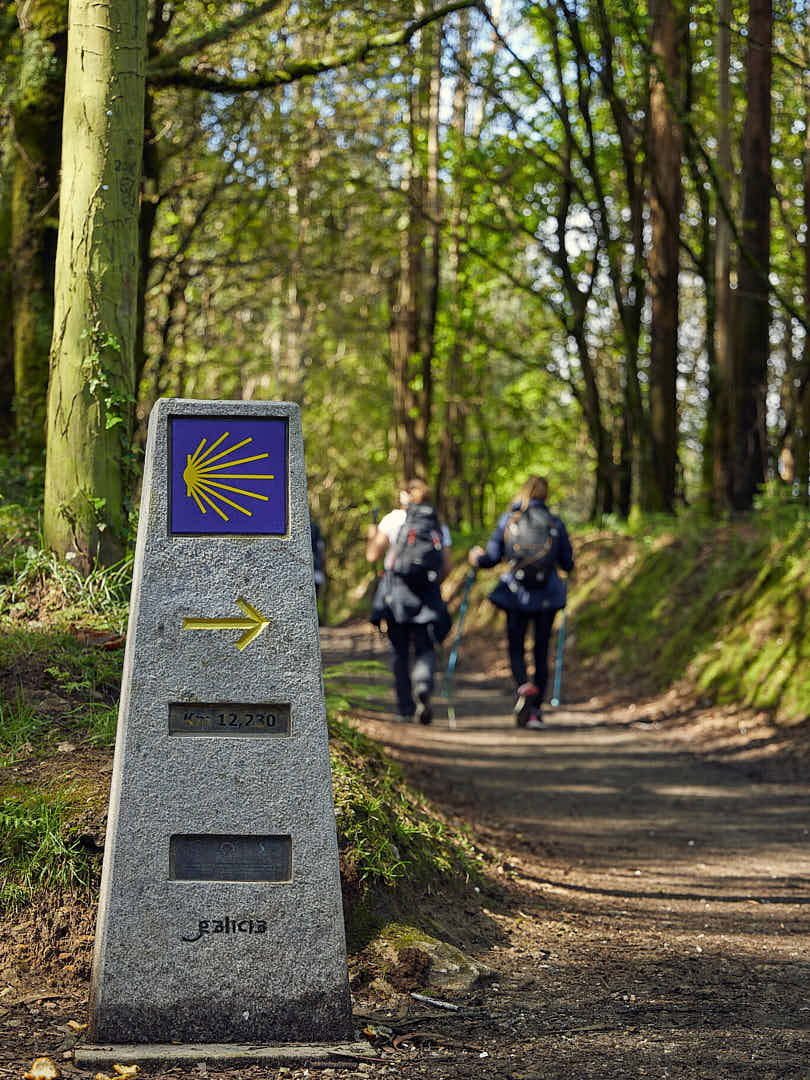 Mojón del Camino de Santiago con la concha y grupo caminando
