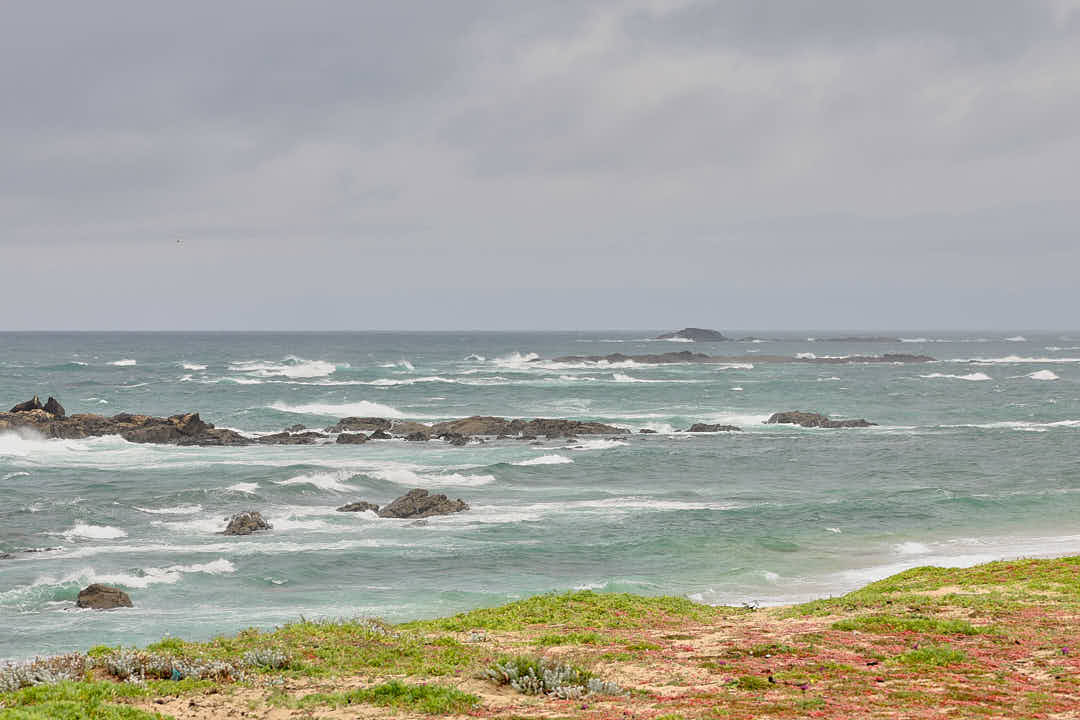 Camino de Santiago, Camino de Santiago francés, camino de santiago con naty, el camino con naty, el camino de santiago, el camino de santiago francés, El camino de santiago guiado, el camino de santiago en grupo, el camino de santiago solo, el camino de santiago agencias, agencias del camino de santiago