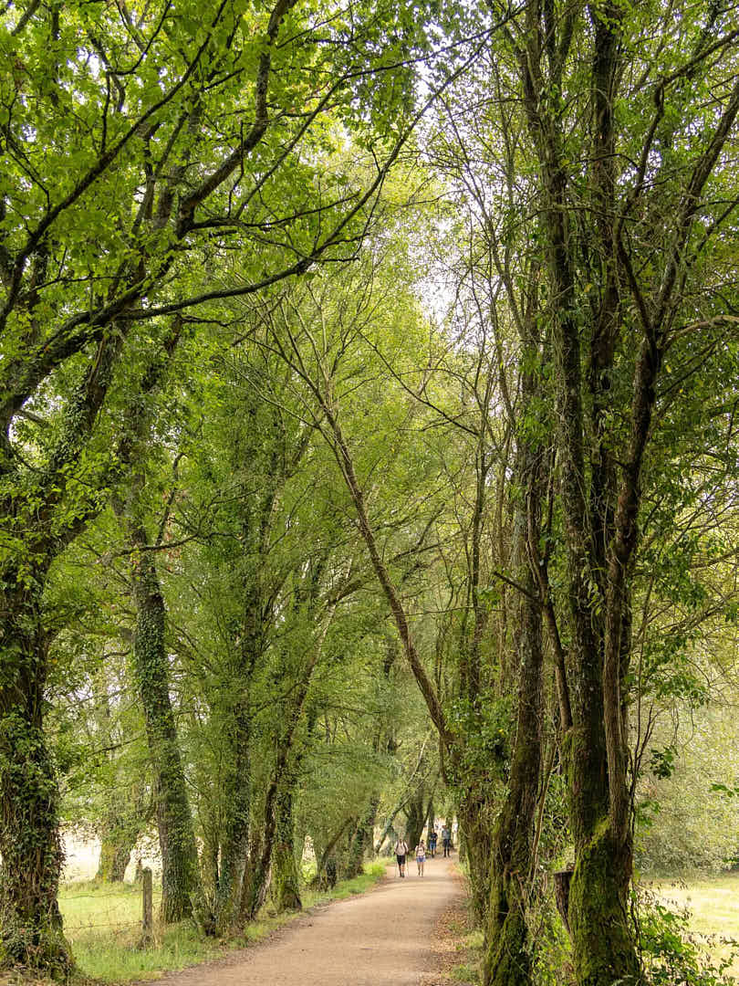 Camino de Santiago, Camino de Santiago francés, camino de santiago con naty, el camino con naty, el camino de santiago, el camino de santiago francés, El camino de santiago guiado, el camino de santiago en grupo, el camino de santiago solo, el camino de santiago agencias, agencias del camino de santiago