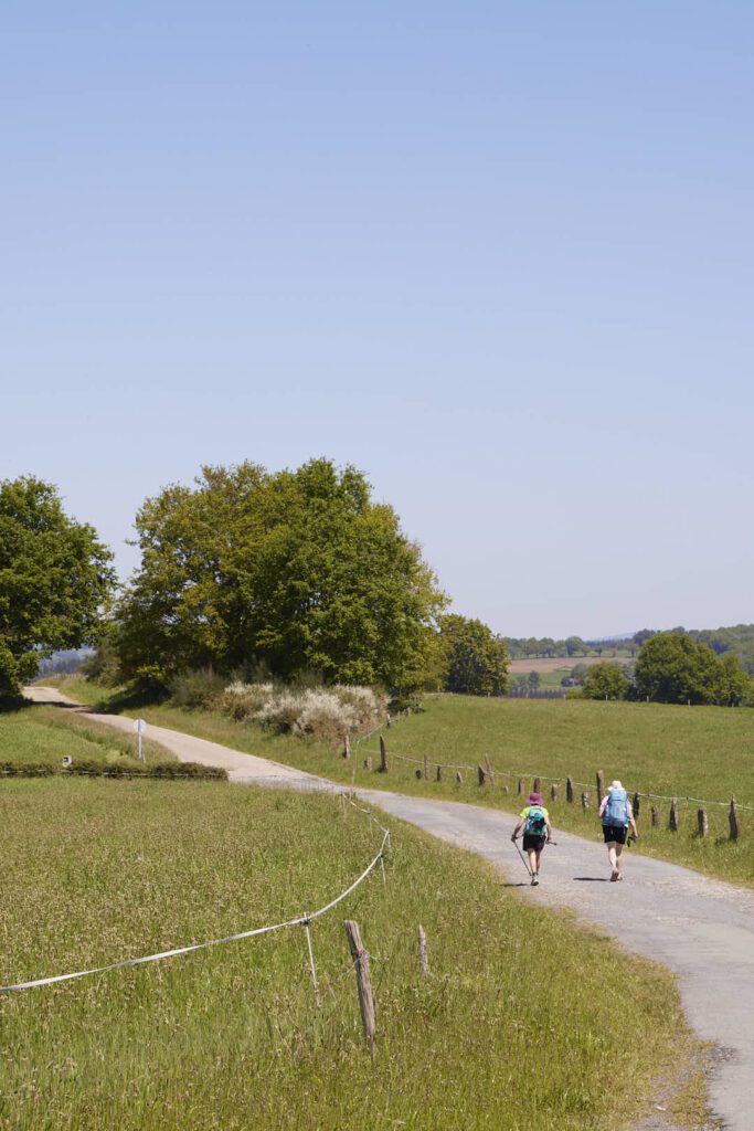Peregrinos por los campos de Galicia