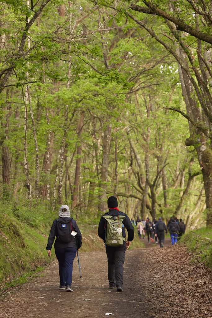 El grupo caminando entre los bosques gallegos